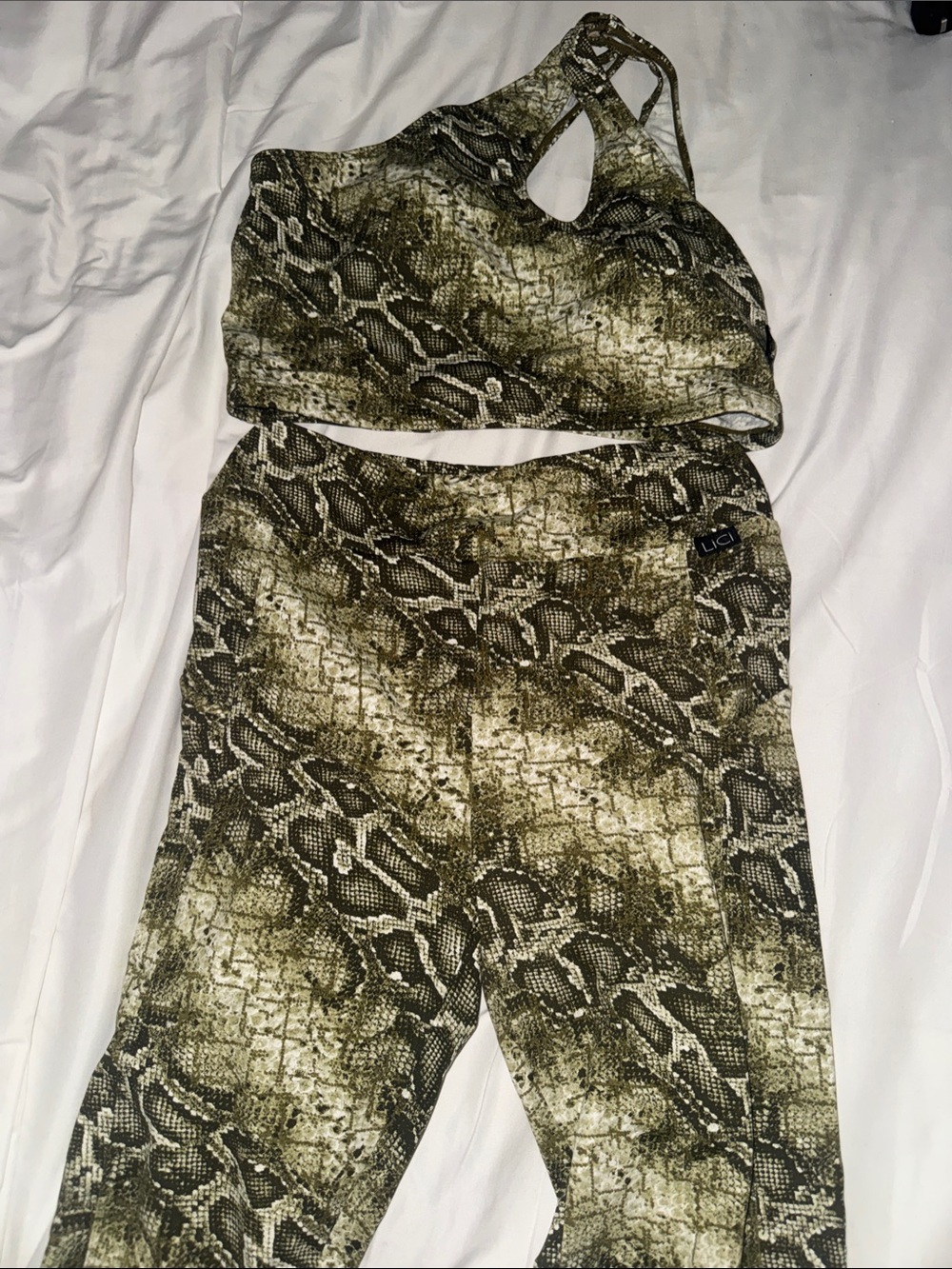 Lici Fit green reptile active wear set